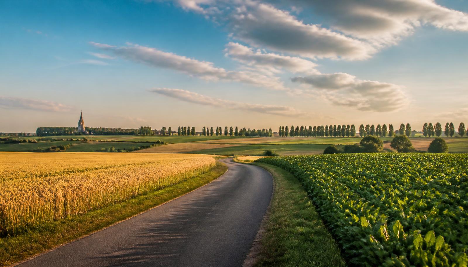 Northern Fields Line