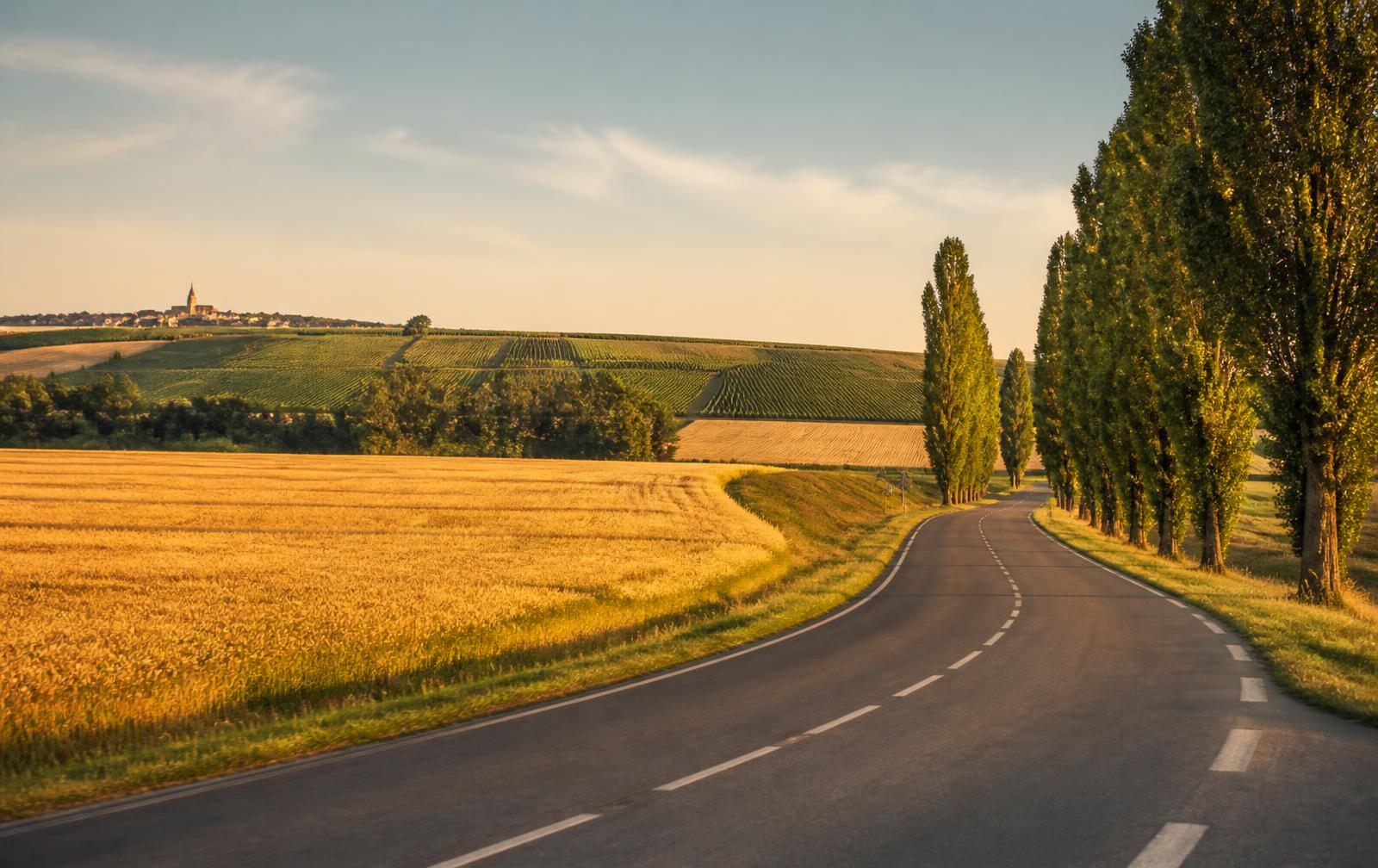 Champagne Backroads