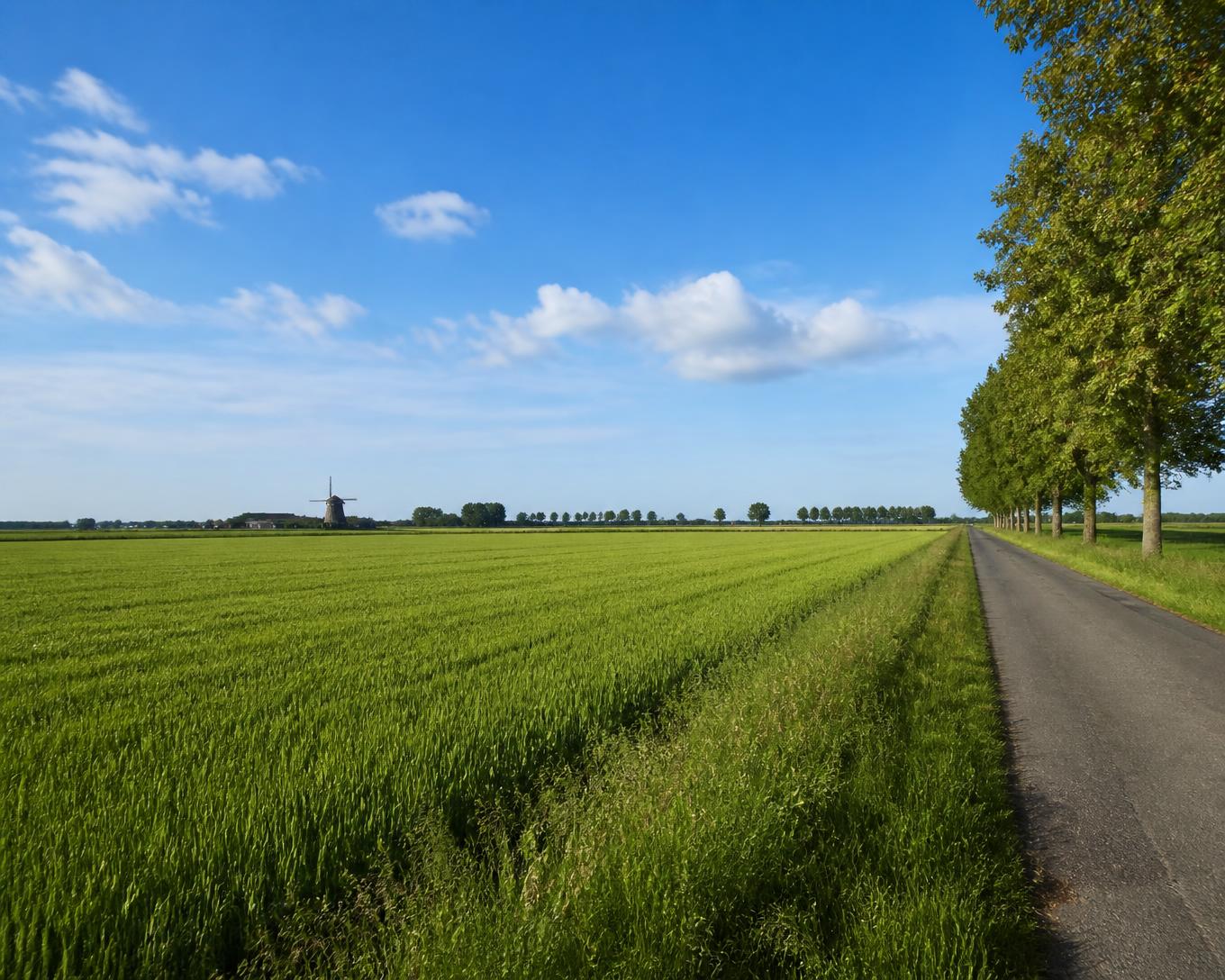 The Flanders Hills Line